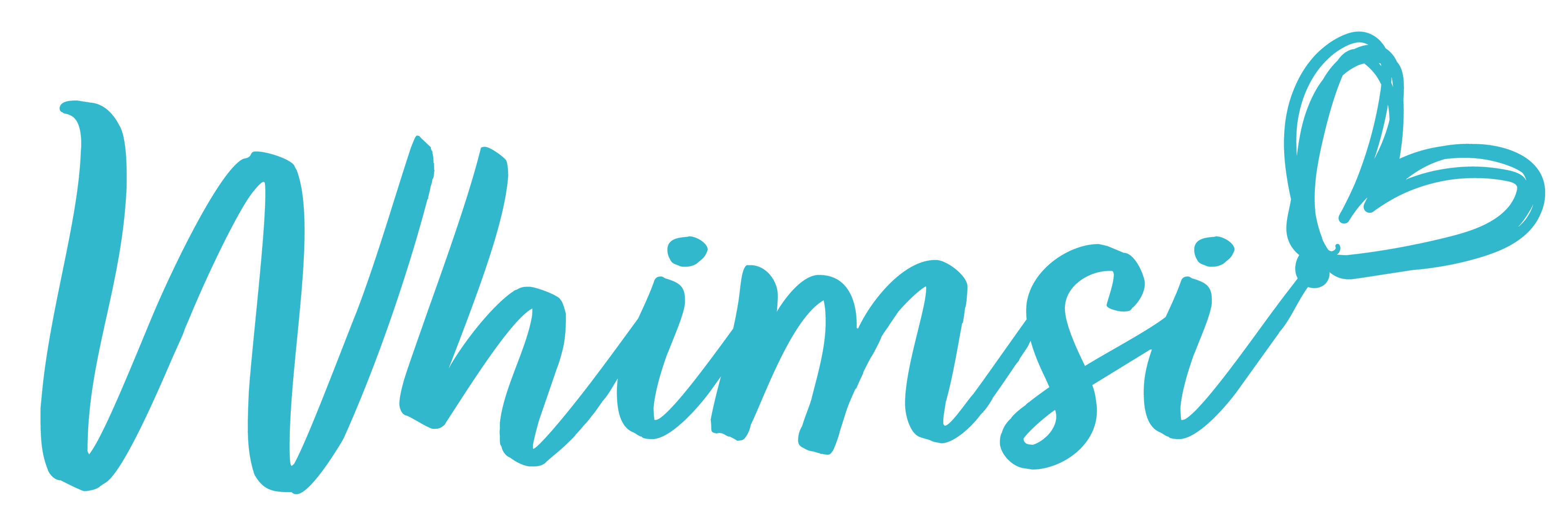 Whimsi